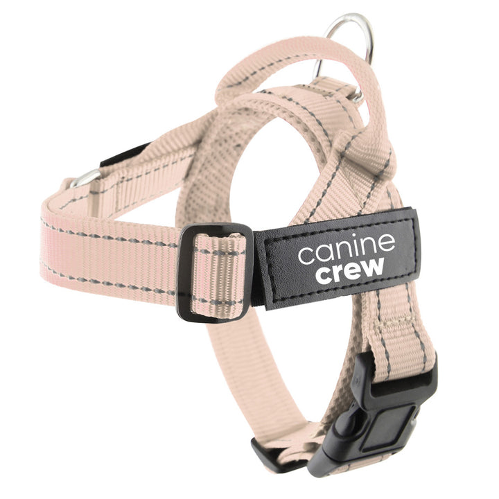 Small Size Harness