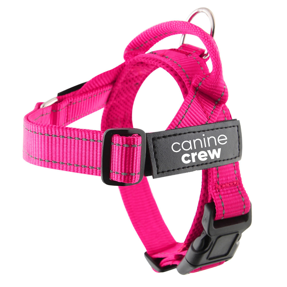 Small Size Harness