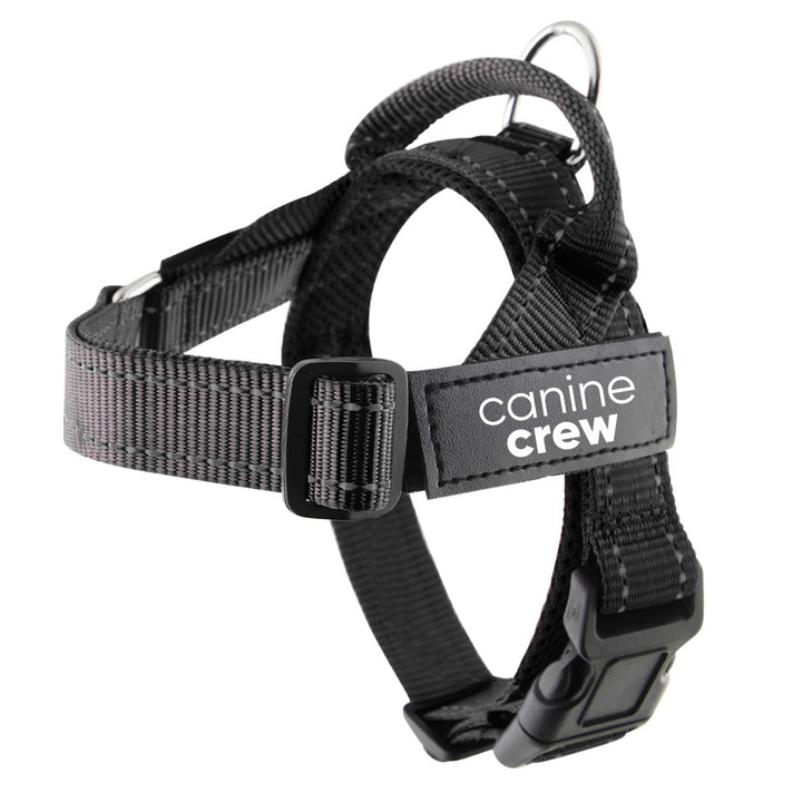 Small Size Harness