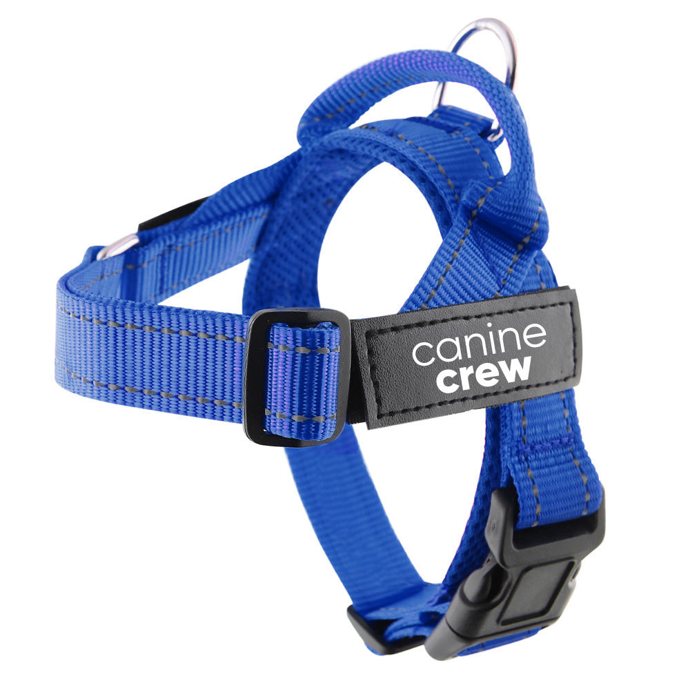 Small Size Harness