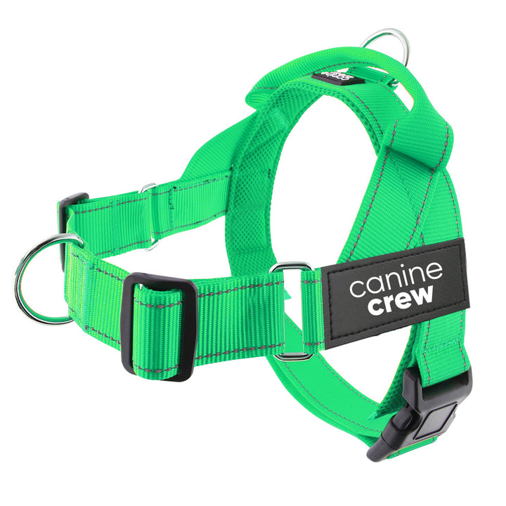 Anti-Chafe Adventure Harness