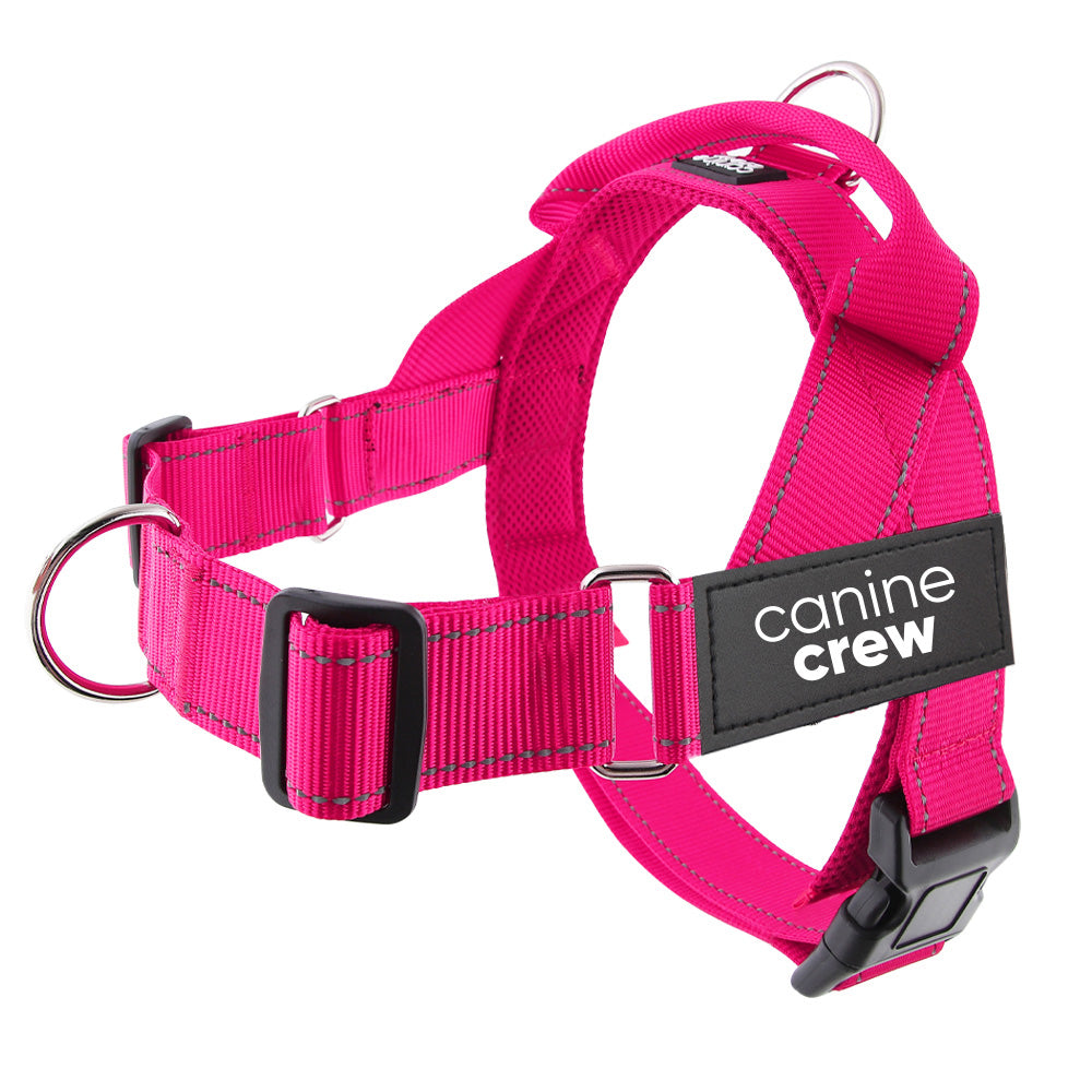 Anti-Chafe Adventure Harness